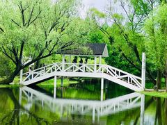 -上海共青森林公园