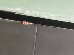 -濮园 · 四合院餐厅