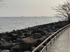 -上海吴淞炮台湾国家湿地公园