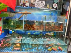 -牟记江湖重庆地标特色菜鱼蛋海鲜无刺鲫鱼(巴南区黑金冠十多年好店)