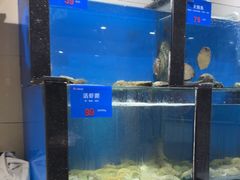-品味居·首店·大连鲜活海鲜大连菜(东港店)