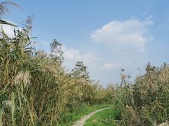 -嘉北郊野公园