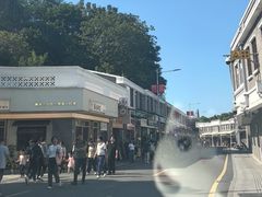 -长洲岛