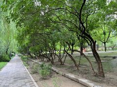 -元大都城垣遗址公园