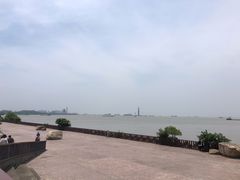 -上海滨江森林公园