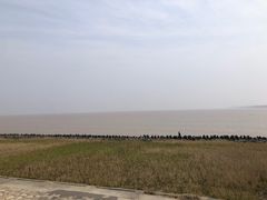 -南汇新城海滩