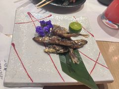 -乌君·酒场·炭火烧鸟(侨城坊店)