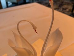 -BLACKSWAN黑天鹅(环球店)