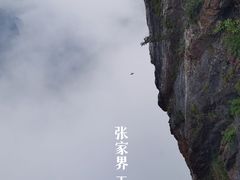 -张家界天门山国家森林公园