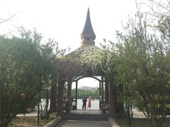 -成都南湖公园