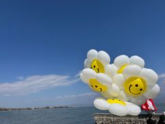 -大理洱海