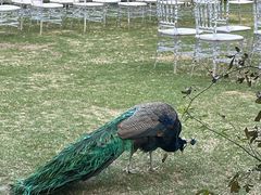 -J Create城市露营咖啡·简餐·宠物(上海动物园店)