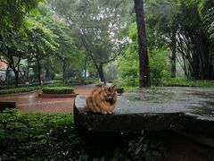 -晓港公园