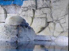 -大连老虎滩海洋公园