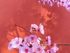 -国家植物园