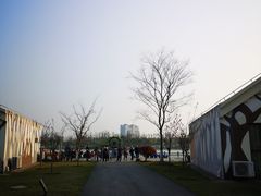 -上海长兴岛郊野公园