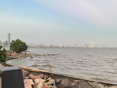 -深圳湾公园(南山区)