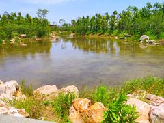 -春花秋色城市公园