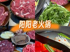 -阳阳老火锅(小南门店)