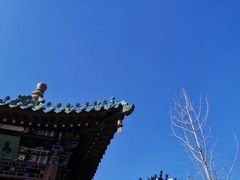 -迎泽公园