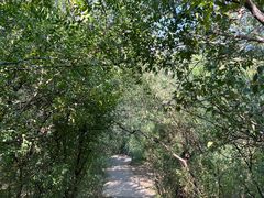 -元大都城垣遗址公园