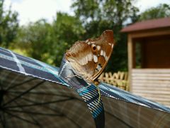 -贵阳市花溪国家城市湿地公园