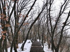 -帽儿山国家森林公园