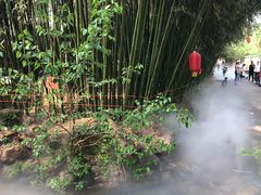 -竹泉村旅游度假区