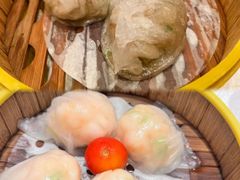 -潮江春(阳光店)