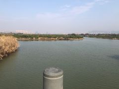 -三垟湿地