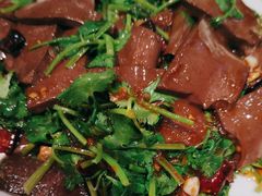 -巢香扣肉馆