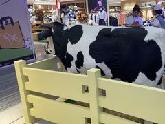 -红星前进面包牛奶公司(君太店)