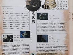 -青藏高原野生动物园