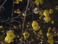 -杭州西湖风景名胜区-满觉陇四眼井