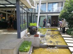 -大理老字号·舟渔的鱼野生菌海景餐厅(双廊店)