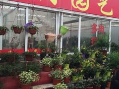 -龙大花卉苗木市场