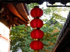 -灵谷景区