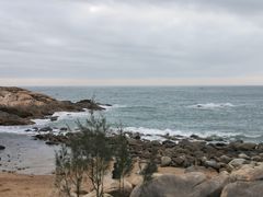 -广东惠东海龟国家级自然保护区