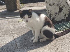 -鸿山公园