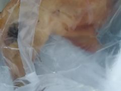 -国梁烤鸡(总店)