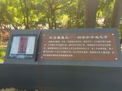 -马王堆汉墓遗址