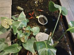 -邈墨茶馆(大兜路1号店)