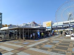 -大阪海游馆