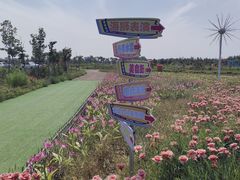 -敕勒川草原文化旅游区