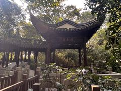 -上海佘山国家森林公园天马山园