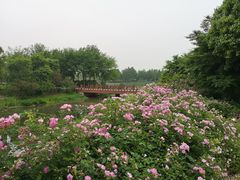 -尚贤河湿地