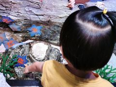 -沈阳海洋探索中心