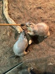 -Zoolung Zoolung动物主题公园(海信广场店)