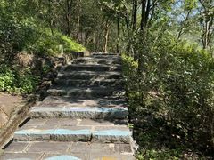 -广州白江湖森林公园