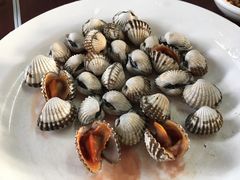 血螺-岛中岛·海鲜大排档·万宁老字号(东澳店)